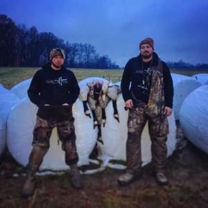 Meet your Posher, Romolo